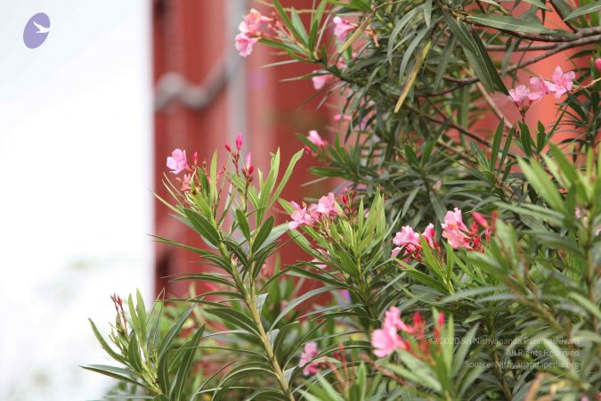 20160719 Photo 1003 1QCxAYkkwaBK2uJRmtB27qYUtv Sfw5Gi.JPG