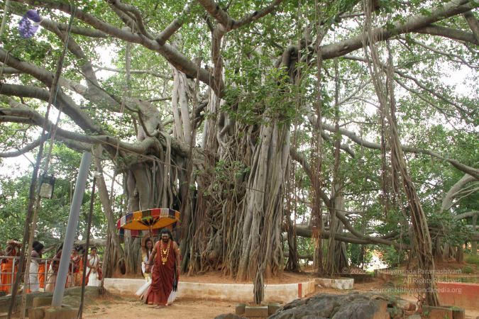 20160802 Photo 1024 1HRUoMEeS7im3VYEM9p JY8sWLRFAkw x.JPG