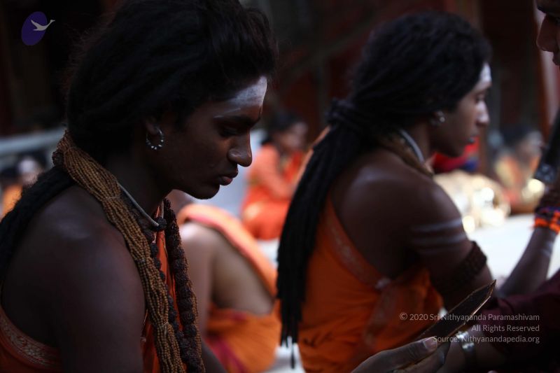 File:20160809 0396 CMP WM.jpg