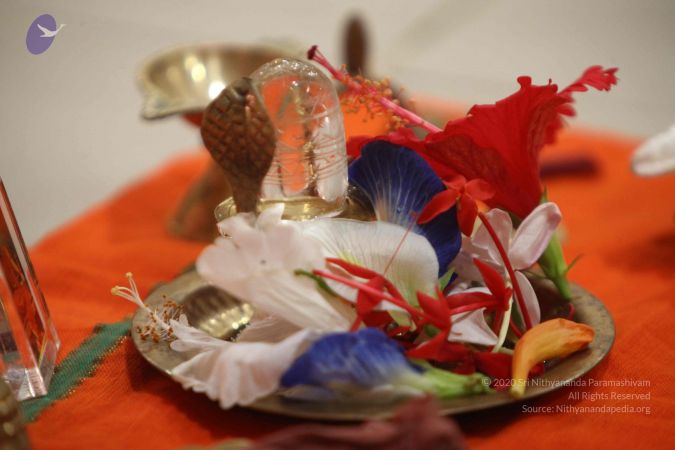 20160811 Photo 1024 1ZffQS8gSkd0Pa7aqlWMI7mXNvr71o7Mb.JPG