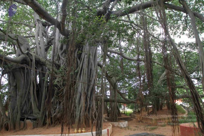 20160812 Photo 1155 1Y8ube7LUBoDtGdj6lAunCNUBfIOVh6Z9.JPG