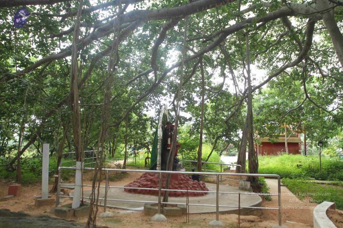 20160812 Photo 1160 1DTs38VhIu6GF lT0i92RVuap-d2qt4ei.JPG