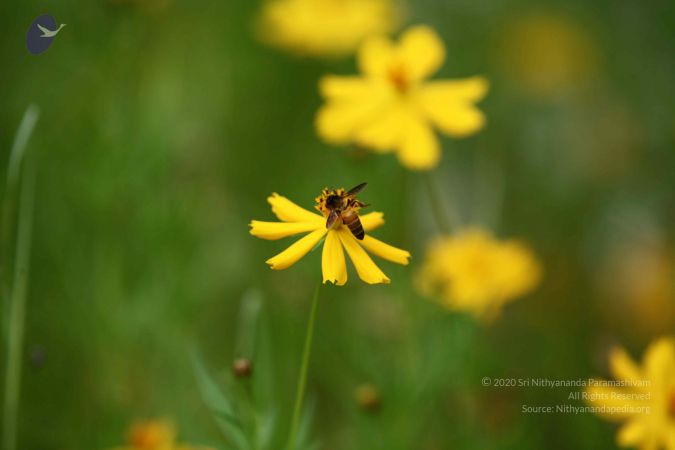 20160812 Photo 1291 1Glq355-OqkvPJ9kzHVWdIA22sMh gbwx.JPG