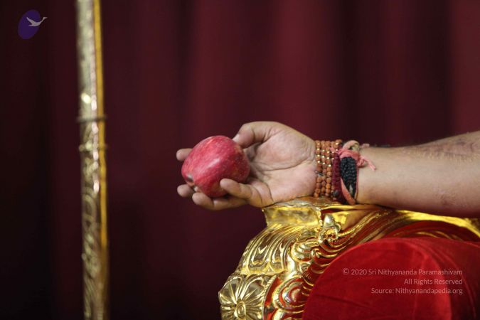 20160814 Photo 1346 1sf4YzrJqJfdGJlQfSXLoSRwbrA3juzQA.JPG