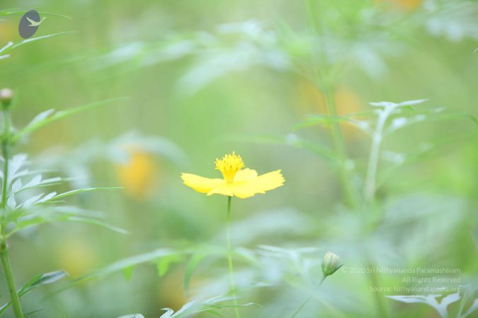 20160818 Photo 1250 1zrW4oKL4yt9n3rz dc48-6KBU-Q3YbnT.JPG