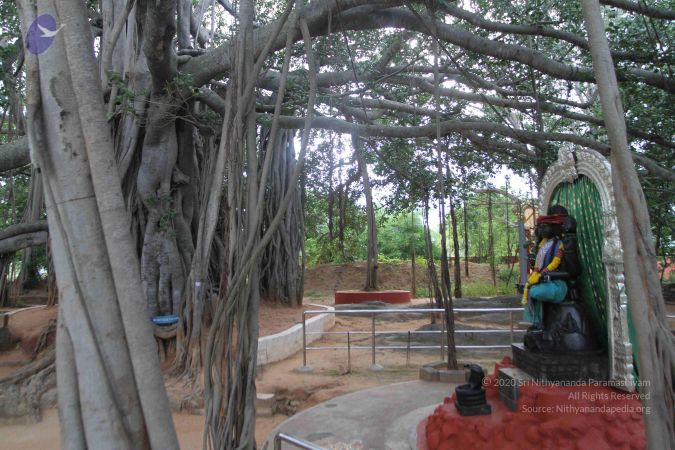 20160825 Photo 1016 1suqLeRHA7iSSh ulNwI1SnGSoLVtT4T .JPG