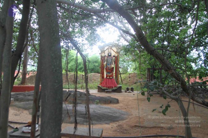 20160825 Photo 1025 17YlgRJP1y4diaxRpCB-EBKC5FQJLiWsU.JPG