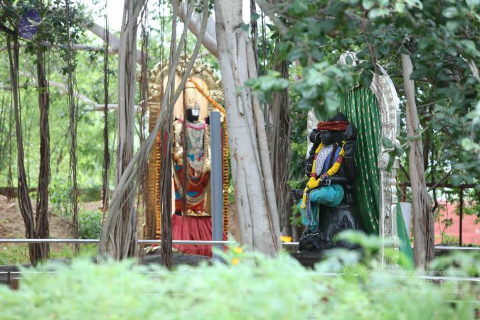 20160825 Photo 1343 1Ev9GLYWPzOTQNWSwKwk8Ng6jLePY0ceC.JPG