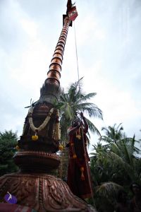 20160827 8107 CMP WM.jpg