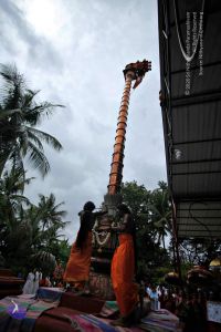 20160827 8143 CMP WM.jpg