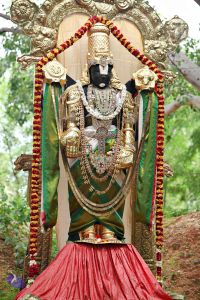 20160827 8203 CMP WM.jpg