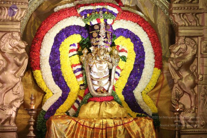 20160828 Photo 1184 1DWujbOHFTfIzkJR38yYXmzA51hqoVYyP.JPG