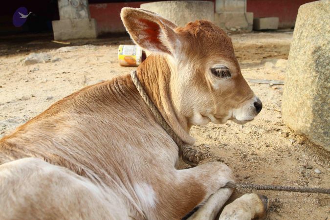 20160903 Photo 1055 1XYNTOeZC0PeMMA3MMK I 3te9xpUEnnC.JPG