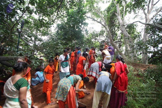 20160904 Photo 1305 1PetfG1KI8iIM3eYHk-wwoX1ga5VSJOMJ.JPG