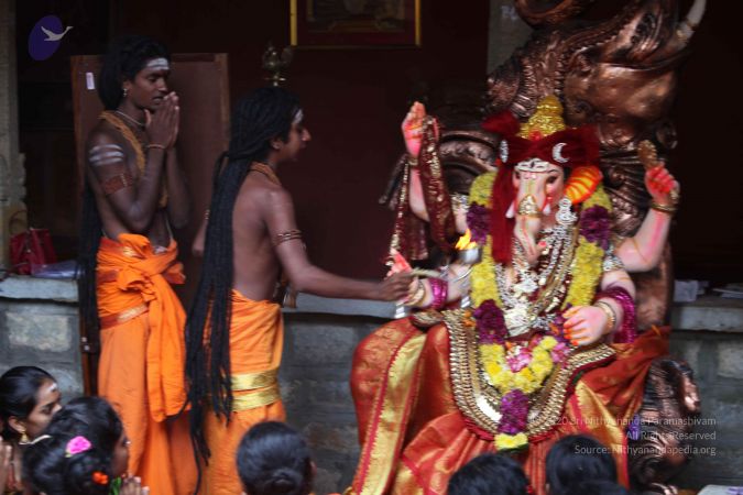 20160905 Photo 1218 11zEbt3JPOf1WLnUU9SGHFVJyrR3hNrmZ.JPG