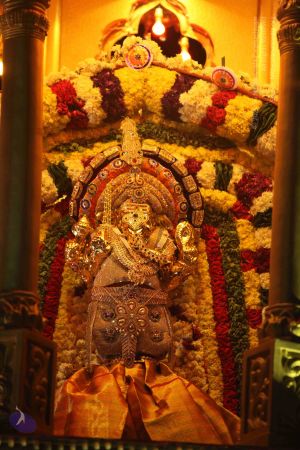 20160905 Photo 1261 1dVwFyjWMDi JuneP3KTEmfSioPwtDZgl.JPG