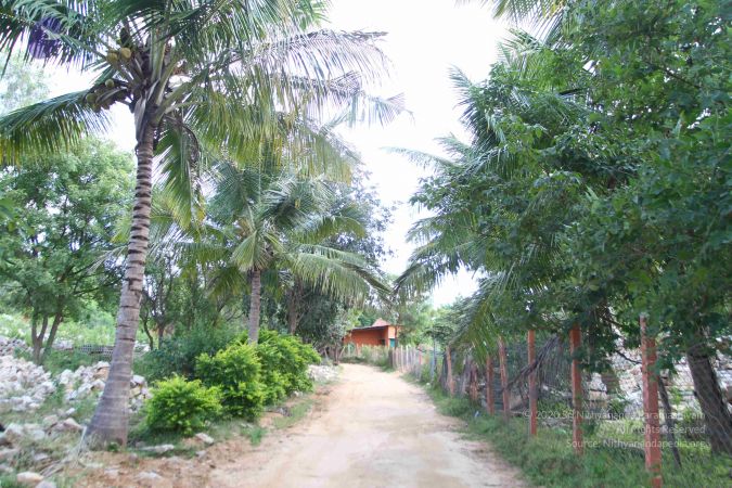 20160907 Photo 1000 1uDv8Rg7euPHIrkH7zwlBtem05a0dl6KJ.JPG