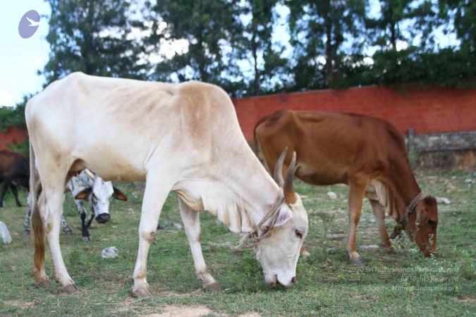 20160907 Photo 1002 1tWOB-Vu Ya5IpRChajZMsI949otcYRtm.JPG