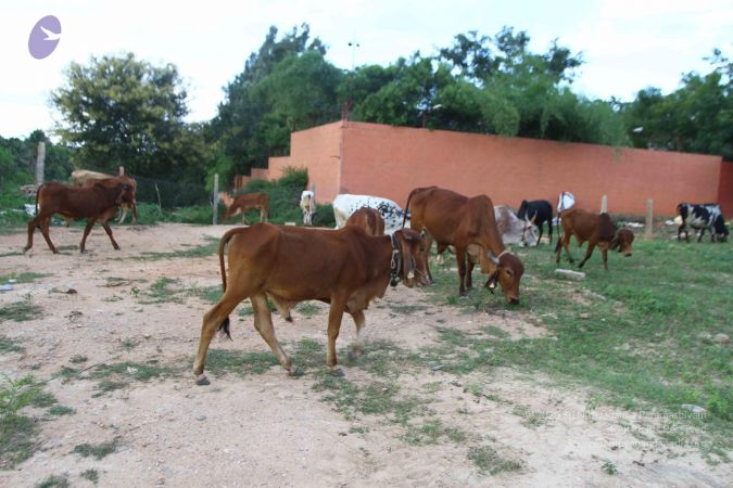 20160907 Photo 1026 1qZOXFQ1IF 855ZSfZnKqOXBmrLQOAbqs.JPG