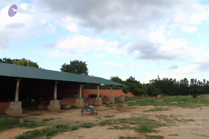 20160907 Photo 1027 14yddcqNjjB33AtcLsTRUkcIFicos2cMj.JPG