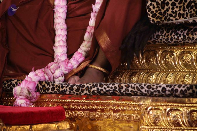 20160907 Photo 1049 1i9l9i9paHzdJM13dXaS3xD9LuZ0ad6Zq.JPG