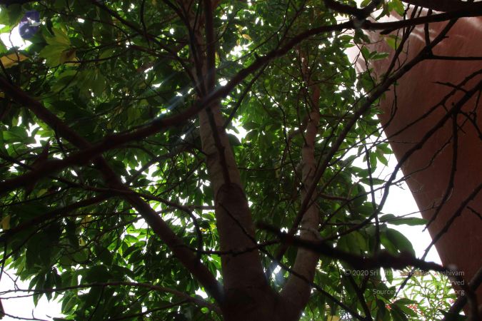 20160909 Photo 1000 1katQoumq-uDhCD UtJq5MCEoDiB7twj4.JPG