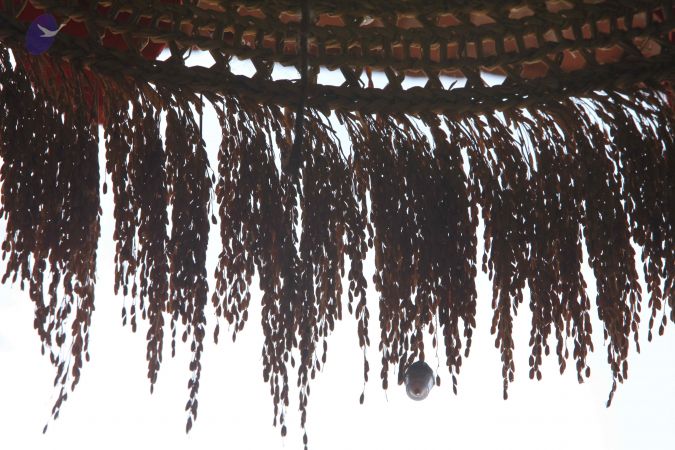 20160909 Photo 1025 1kXi-Ls uSmrPYdWldxX0bF8sEJXOBOW2.JPG