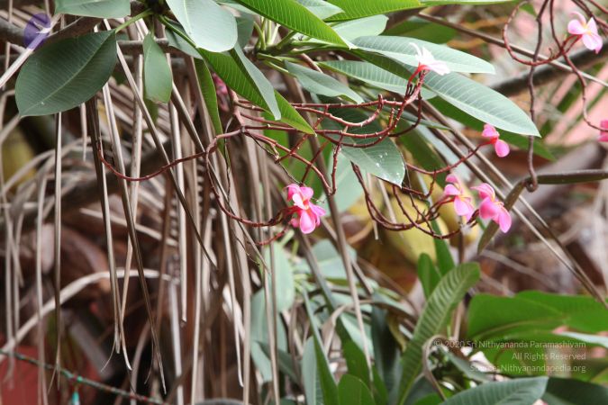 20160909 Photo 1026 1xsTWYJ1cQxcofE sCxLjFdqoMebSzjX6.JPG