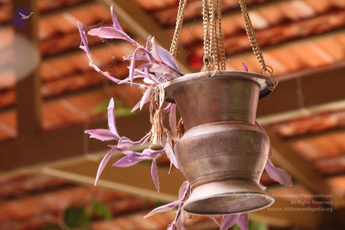 20160909 Photo 1029 1lQ6XXLspuVrbLHnEeFZbeHK 1nrU2STk.JPG