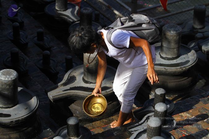 20160909 Photo 1044 1AMRCIhwUw6Kkfs7LPbj8aW3HNjGd2pjV.JPG