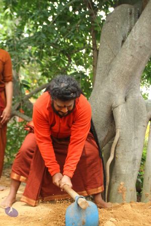 20160909 Photo 1074 19mWbAx 4pa8vuh2NnoTZcpXBHP9NIG1O.JPG