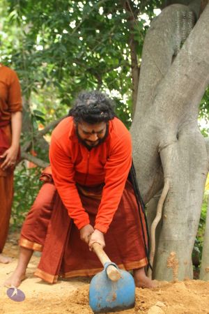 20160909 Photo 1075 12-SX0NIy 1B0PvtWLnMQGJp4EkAhJRys.JPG