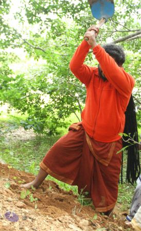 20160909 Photo 1113 1tLhqGPNwR2WCMLWDxNAKTjRLjBkBf8M-.JPG