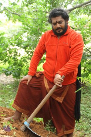 20160909 Photo 1122 1FoYDl6gwjWzkDndloevtMl30r1gzMDaU.JPG