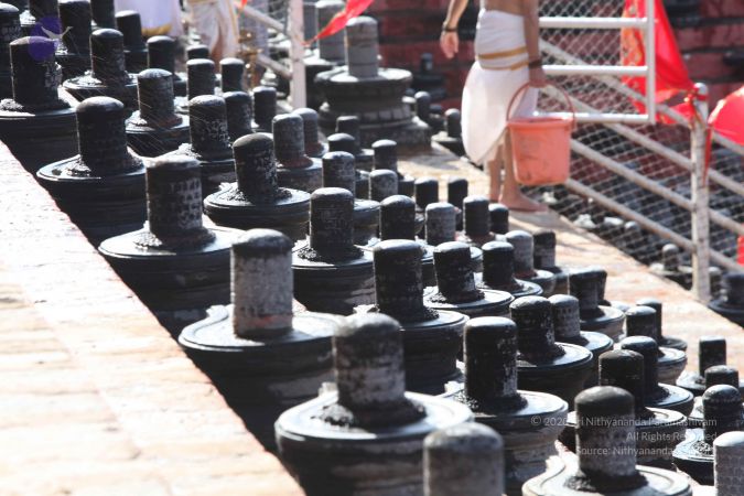 20160909 Photo 1147 1OmWVBkc1WGh7Z78Bipo4KZ6ItvXzNhlN.JPG