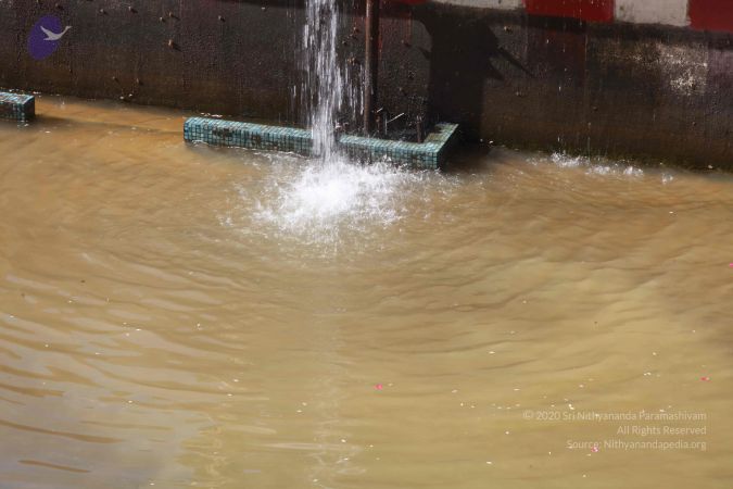 20160909 Photo 1151 1Fr8vFiWcoptFVMSseahd-KVbk9Lt8mER.JPG