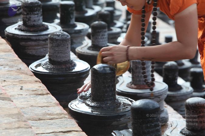 20160909 Photo 1156 11UtBYtblf9ZOLkAFKKNUg4N4aVwtvcHh.JPG