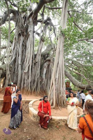 20160909 Photo 1167 1To-7F3yEbdBIJZA9xBeqKA1RtvvOv4ql.JPG