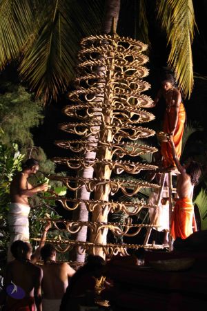 20160909 Photo 1172 1EWYlDlaDu2L9JtlctKp5yobco4v-YFnv.JPG