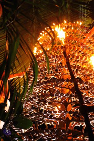 20160909 Photo 1175 1YGd5CAcBRcEPxwSvZxXEiIWi42WCZSZs.JPG