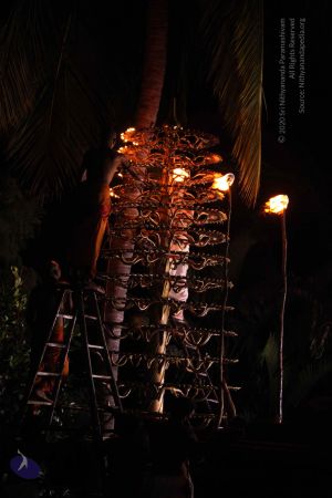 20160909 Photo 1179 1bn3mXXtRp0j3aC9V69VHi1pGHSGWWG3-.JPG