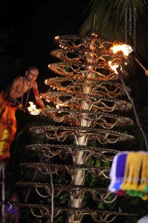 20160909 Photo 1181 17gODHfDhPGZWBmkzXSCzdfiRZ0cQppwN.JPG