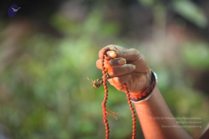 20160909 Photo 1401 1WY9uBm1FUREkKS4chBvHwJlETt2M0jnf.JPG