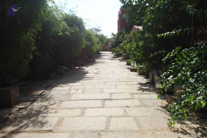 20160910 Photo 1030 14oj4GwBYDoldBu6DqdugCnkDd1wuiNPP.JPG