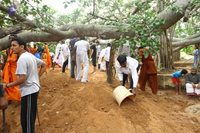 20160911 Photo 1590 1m7L4m4oSbov4oyOJJX4FcZ 8lZZ26Ant.JPG