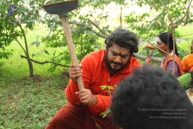 20160911 Photo 1606 170DJTHsG0D-OGTwlNPEyXLmTQ3yyZ68G.JPG