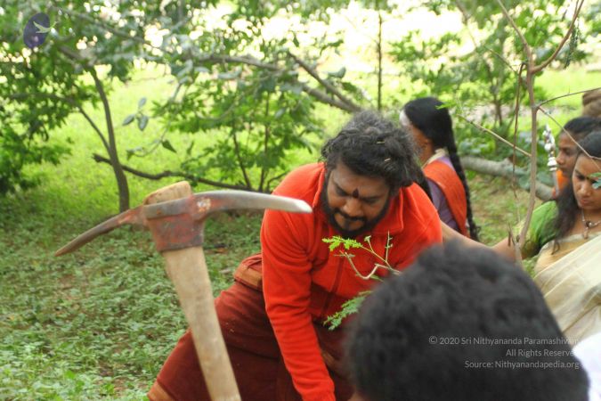 20160911 Photo 1607 1tkSKEfUXhgRB TeohtM098pl4Pl16irz.JPG