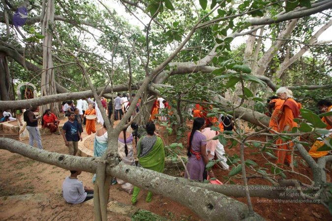 20160911 Photo 1796 1ZC6dTk pz3NHXLj77MyLC1L6E6DOSSdF.JPG