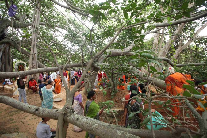 20160911 Photo 1797 1nd F6BliClljlpYJC65oQPqkvCqqV64M.JPG