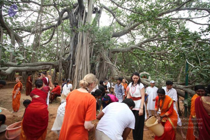 20160911 Photo 1798 1bGcjNTLZ0cV1ZCbM12sMUv-VvK8JP4fG.JPG